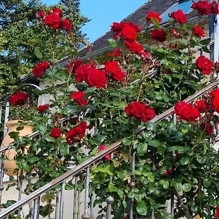 Bed & Breakfast Domaine La Garenne 3*