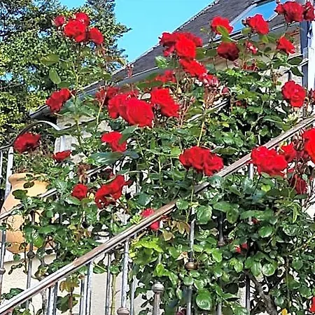 Domaine La Garenne Bed & Breakfast Reilhaguet