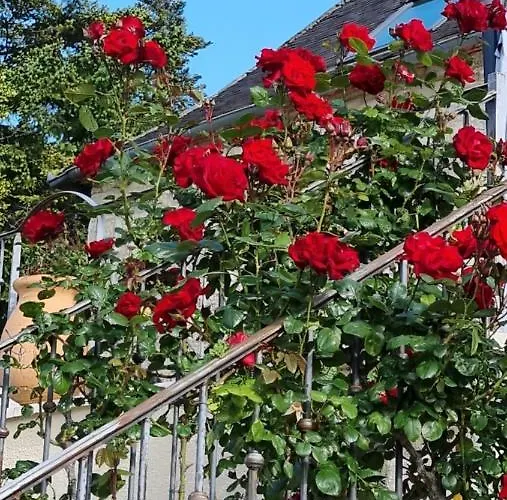 B&B Domaine La Garenne 3*